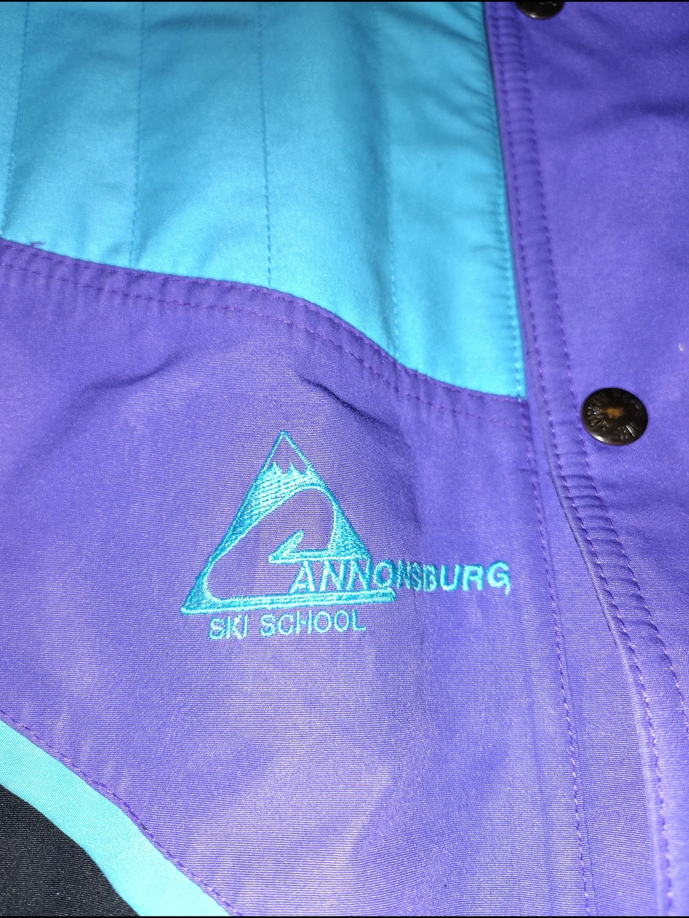 The North Face bold color